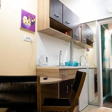 House Of Vracar 2 Appartement Dusanovac