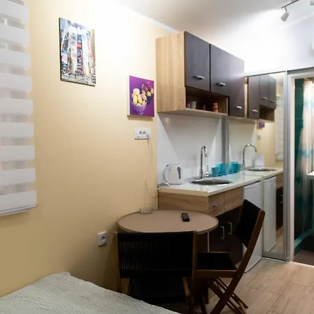 House Of Vracar 2 Apartment Dusanovac