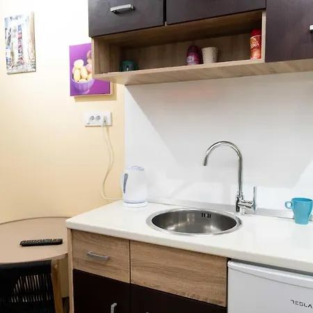 House Of Vracar 2 Dusanovac